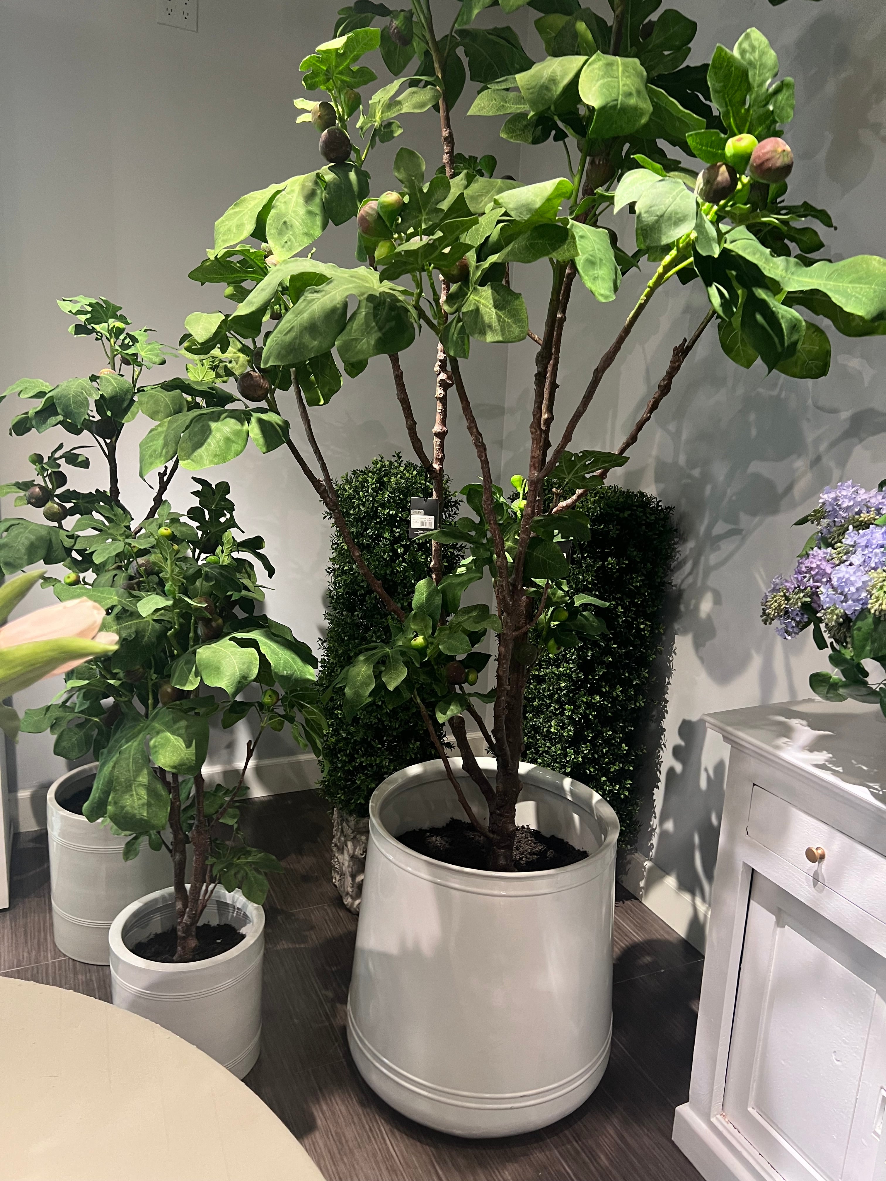 Artificial Plants / Trees