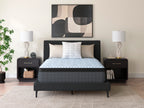 Destin Cove PT luxury plush