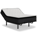 Limted edition Pillow Top