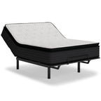 Limted edition Pillow Top