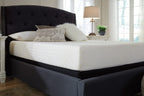 10 Inch  Memory Foam